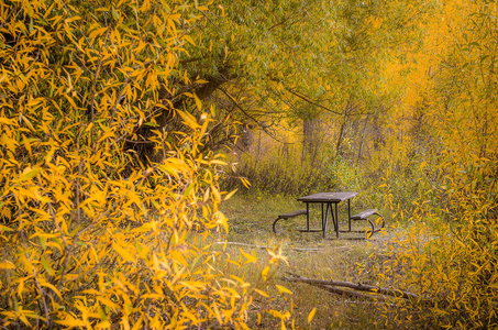 秋天在大提顿国家公园