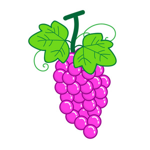 水果葡萄孤立图