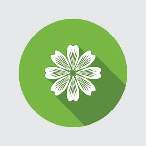 洋甘菊 翠菊 菊花 菊花.夏季,秋季花卉象征.