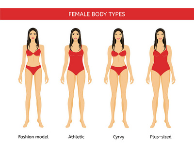 一组女性的身体类型 时装模特，竞技 弯曲和再加上大小