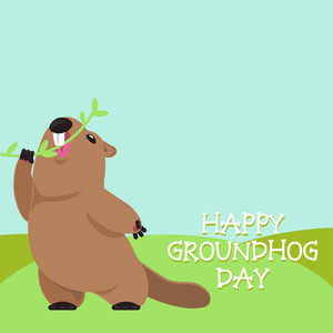 美国土拨鼠图片