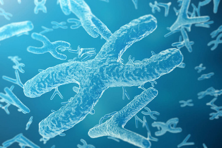 染色体生物学图片-染色体生物学素材-染色体生物学插画-摄图新视界