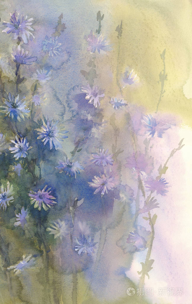 蓝色的花水彩背景照片 正版商用图片0wsfbm 摄图新视界 蓝色的花水彩背景照片 正版商用图片0wsfbm 摄图新视界