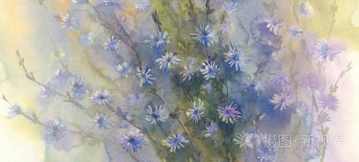 蓝色的花水彩背景照片 正版商用图片0wsflc 摄图新视界 蓝色的花水彩背景照片 正版商用图片0wsflc 摄图新视界