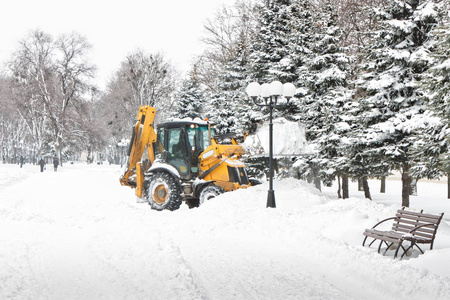 降雪后积雪清除林荫大道上