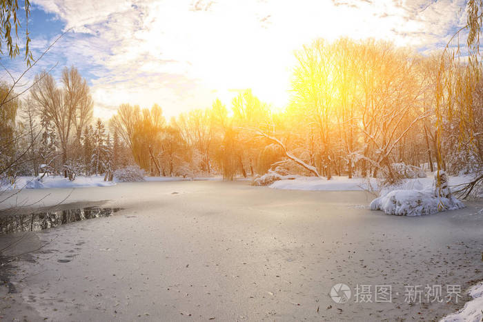风景的杨柳树与第一场雪结冰的池塘