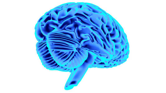 人类的大脑 3d 渲染