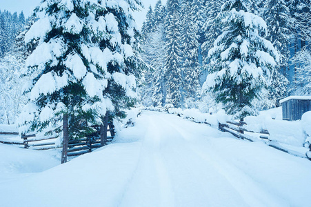 冬天降雪后路