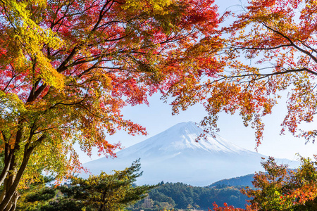 秋天的日本富士山