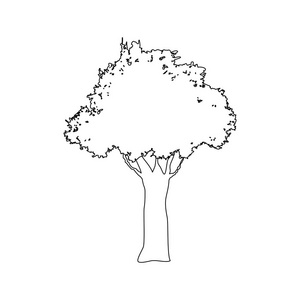 树图标图像
