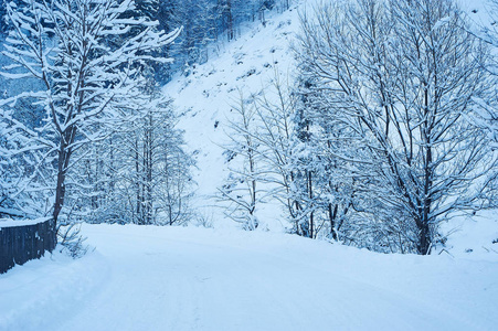 冬天降雪后路