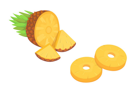 在白色背景平插图热带水果菠萝卡通的组成