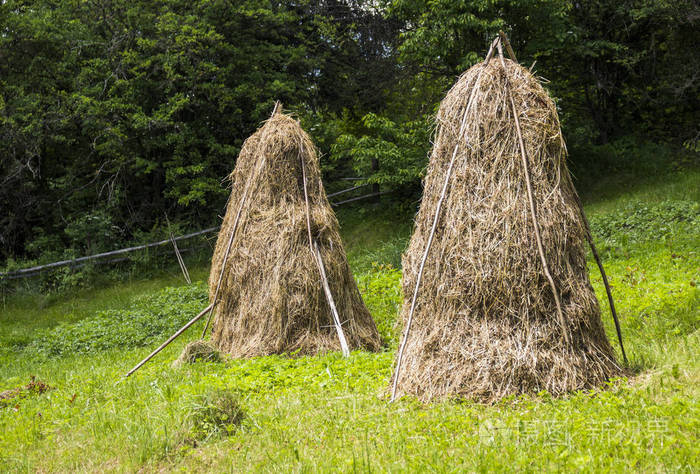 干草堆