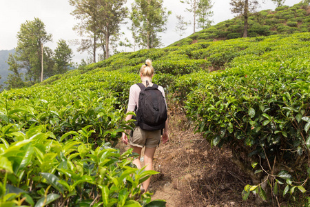 女游客享受美丽的大自然的茶叶种植园，斯里兰卡