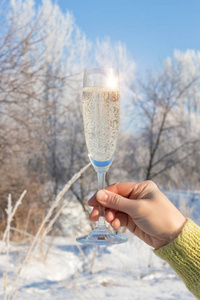 喝杯香槟的冬季树木背景上