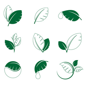 绿色的叶子叶子符号矢量图标集