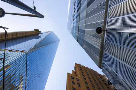 世界贸易中心与其他摩天大楼图片