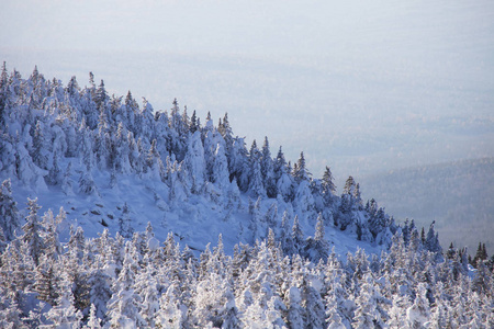 冬季景观。雪覆盖了森林。山脉 Zyuratkul