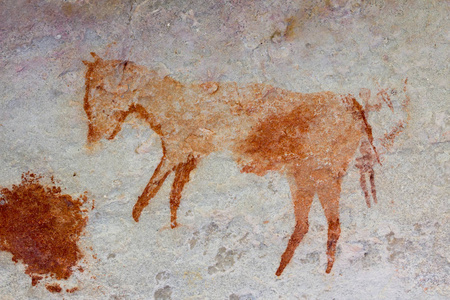 圣岩艺术在 Cederberg 山南非