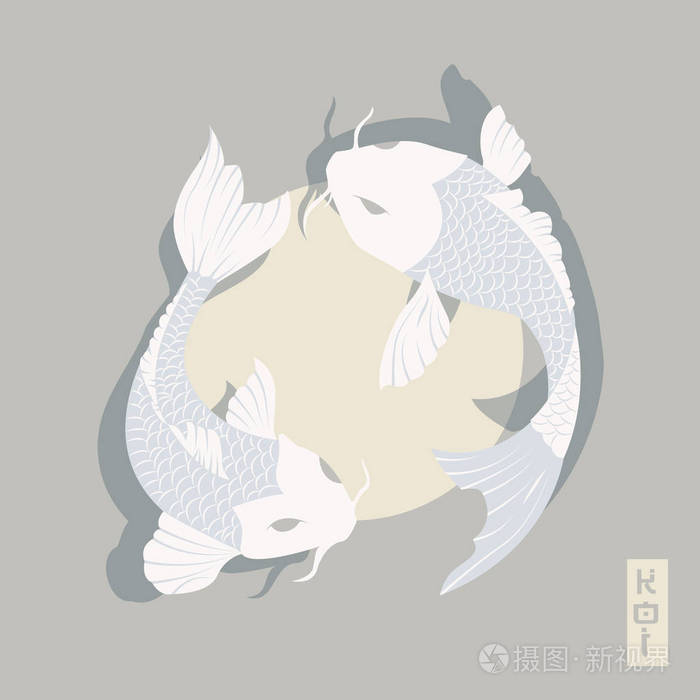 两个鲤鱼锦鲤鱼游泳绕着太阳转传统的日式风格