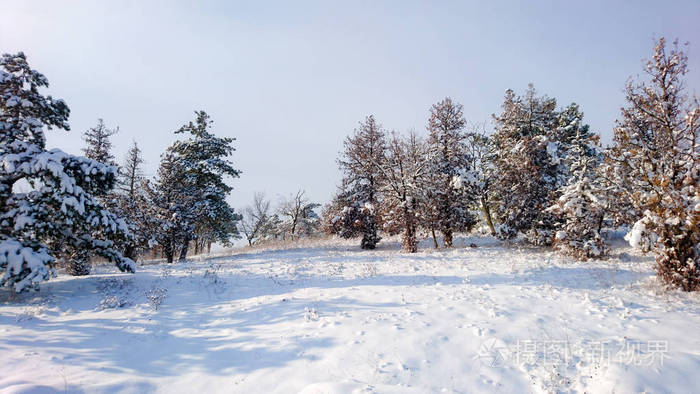 生活中的雪