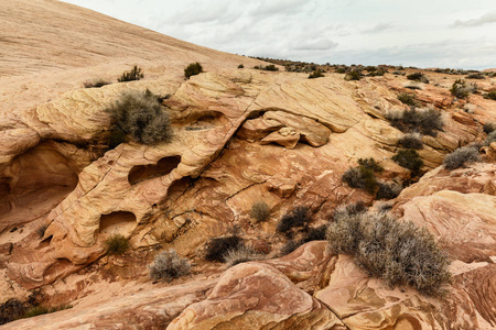 特写的岩石形成沙漠的南部内华达州，美国