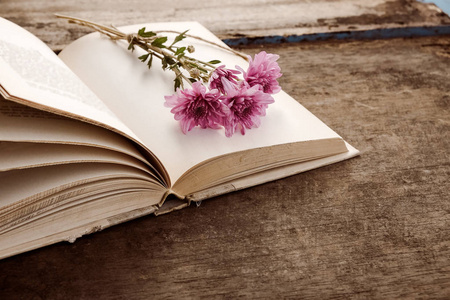 老式小说书籍用束鲜花图片