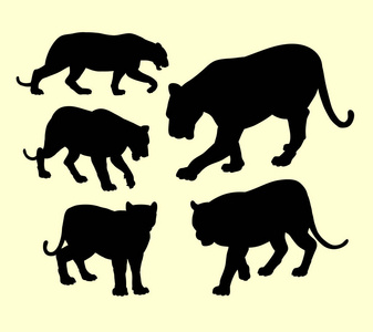 老虎 美洲狮和黑豹野生动物剪影