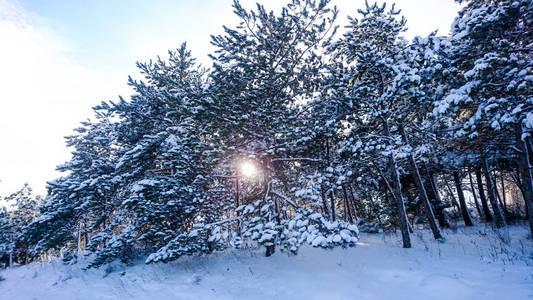 生活中的雪