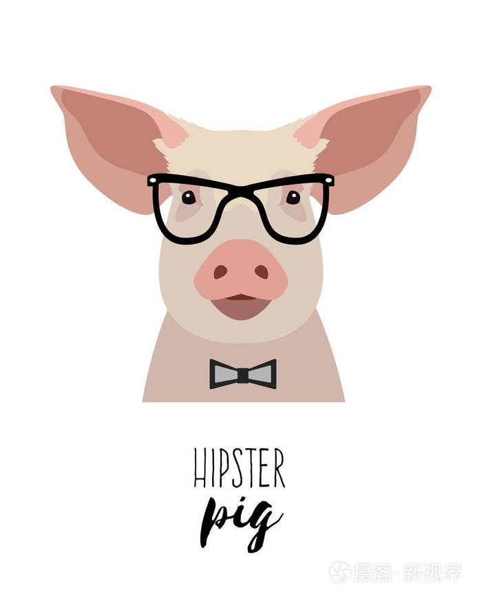 矢量时髦猪戴眼镜的公寓,卡通样式对象