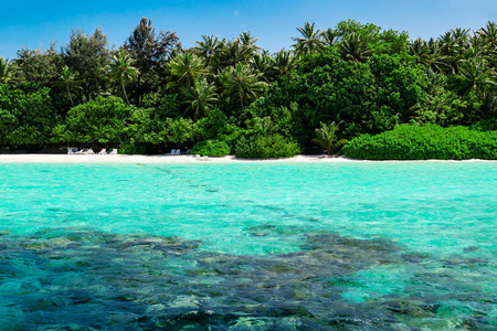无人居住的热带小岛美丽的自然景观的热带小岛在白天照片