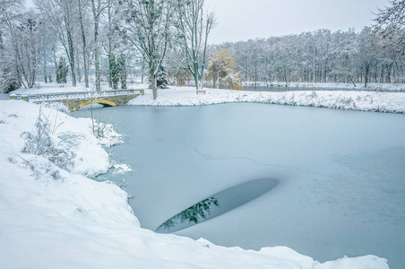 冬季景观与雪覆盖湖泊和树