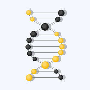 抽象的 Dna 背景。矢量图。美丽的螺旋分子的结构