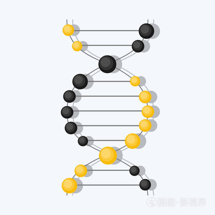 抽象的 dna 背景.矢量图.美丽的螺旋分子的结构