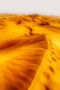 在阿曼老沙漠 rub 鲁卜哈利沙漠空季和室外 s
