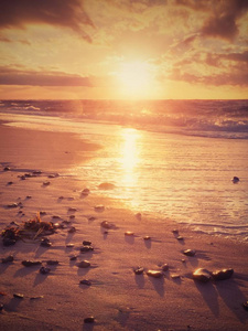 沙滩上的沙子与石头和水落后。平静的大海在海滩上的痕迹