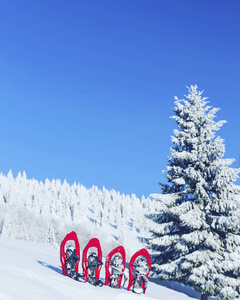 冬季徒步旅行。在山里徒步旅行带着背包和帐篷雪的冬天