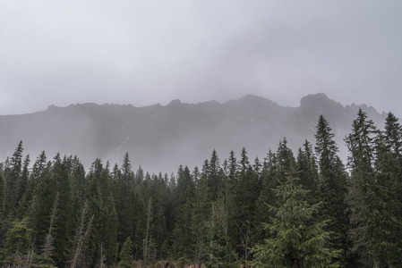 美丽的景色在雾的秋日，越过 Tatra 山脉