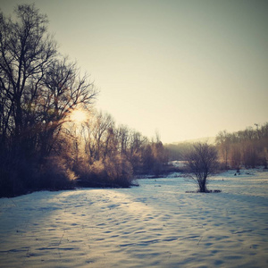 冬季景观霜树。与雪的性质。美丽的季节自然背景