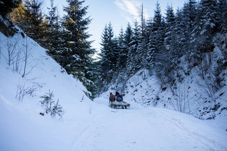 冬天的森林, 离开雪橇与马