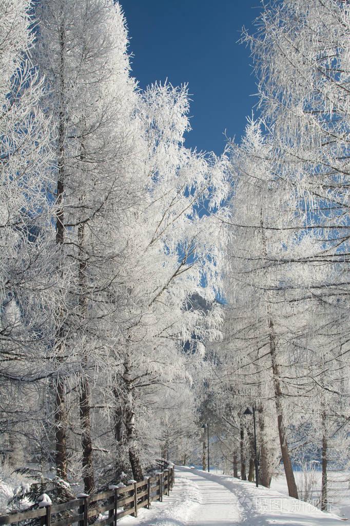 冬日晴山景观阳光灿烂的日子冬天的下降明亮的颜色冬天的森林森林河在