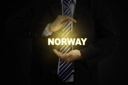 商人保护挪威一个字