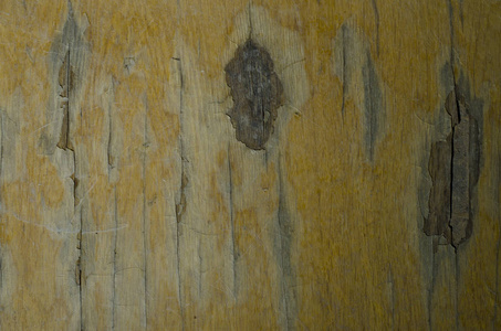 旧的肮脏的破片漆木