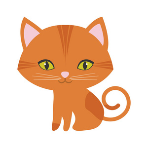 橙色小猫的爪子眼睛了图片