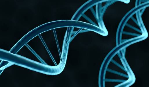 在 Dna 分子上的特写视图。3d 渲染的图