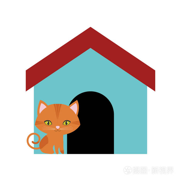 猫猫好奇小彩色的房子
