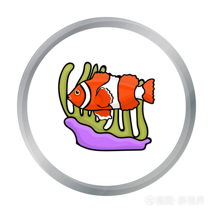 插画 小丑鱼和海葵在白色背景上孤立的卡通风格的图标.