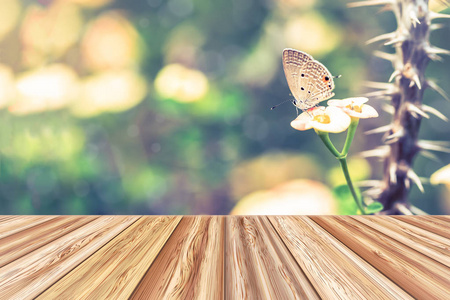 木板空表顶部与蝴蝶在花上。复古色调
