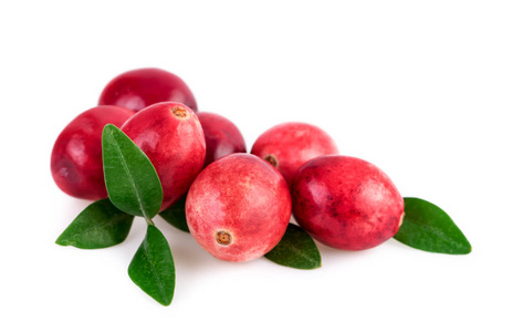 孤立的小红莓蔓越莓孤立.叶上白色小红莓堆桩照片