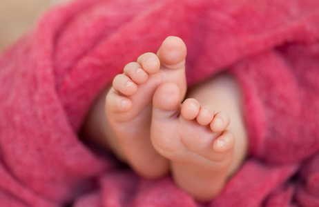 在粉红色的毯子里的小婴儿脚